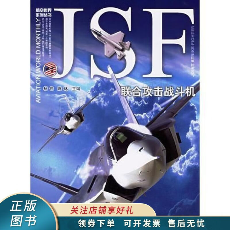 JSF联合攻击战斗机 杨伟