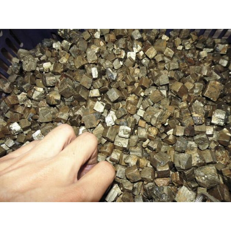 聪蝶黄铁矿石原石含金供佛贡品愚人金精品摆件教学标本矿物晶体