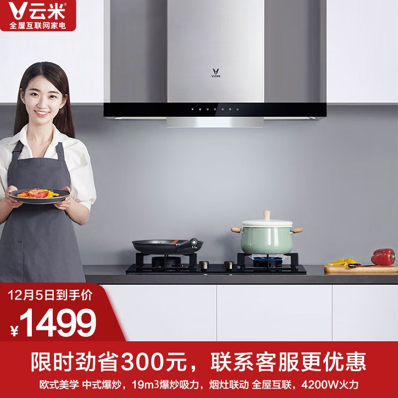 云米(VIOMI)抽油烟机燃气灶具套装 欧式T型烟灶套装 19立方大吸力 智能互联 CXW-250-VT203+JZT-VG301
