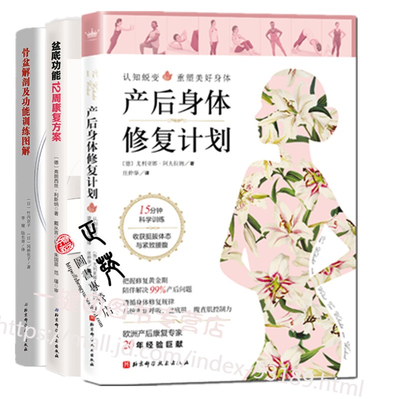 3册 产后身体修复计划+盆底功能12周康复方案+骨盆解剖及功能训练图解 女性盆底肌修复方案 骨盆骨骼修复 盆骨骼修复