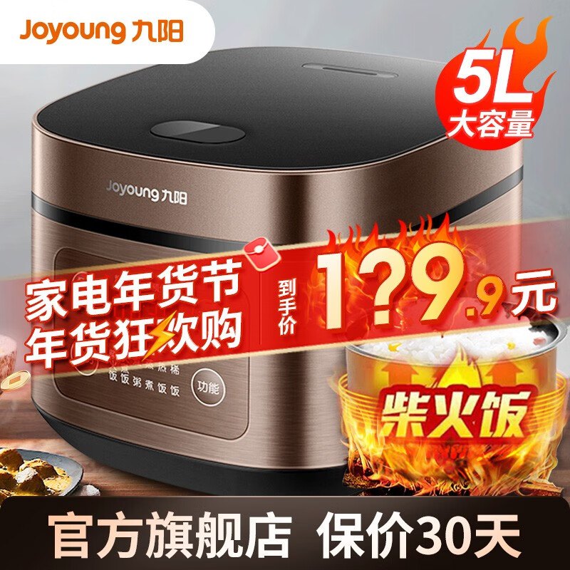 九阳（Joyoung）电饭煲家用电饭锅5L升大容量4-5-8-10人多功能大功率厚釜内胆50FS69