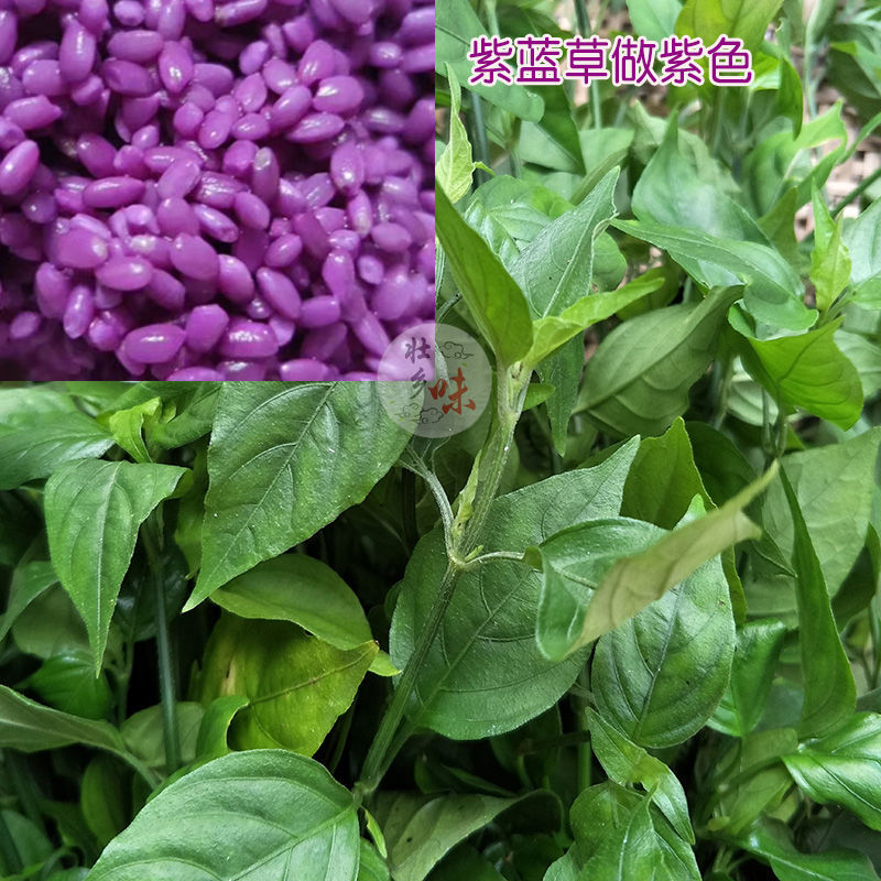 广西五色糯米饭材料 五色糯米饭植物染料广西天然染米染饭草三月三紫