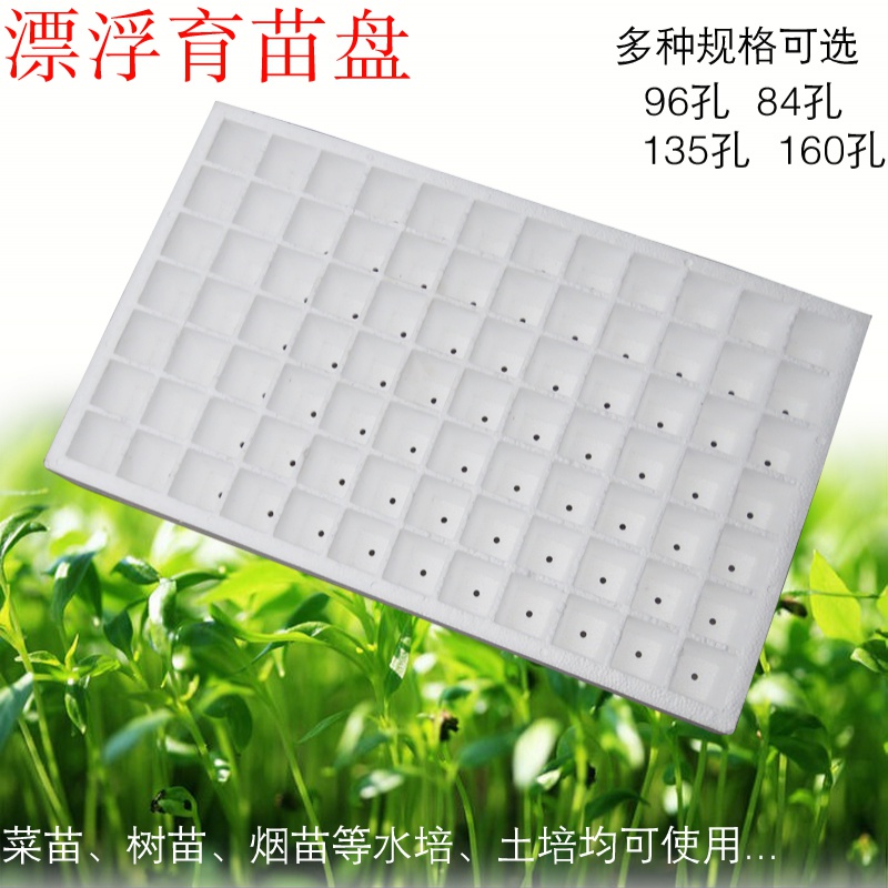 烤烟蔬菜种植泡沫漂浮育苗盘 西瓜生芽苗绿豆芽菜长方形穴盘 托盘 84