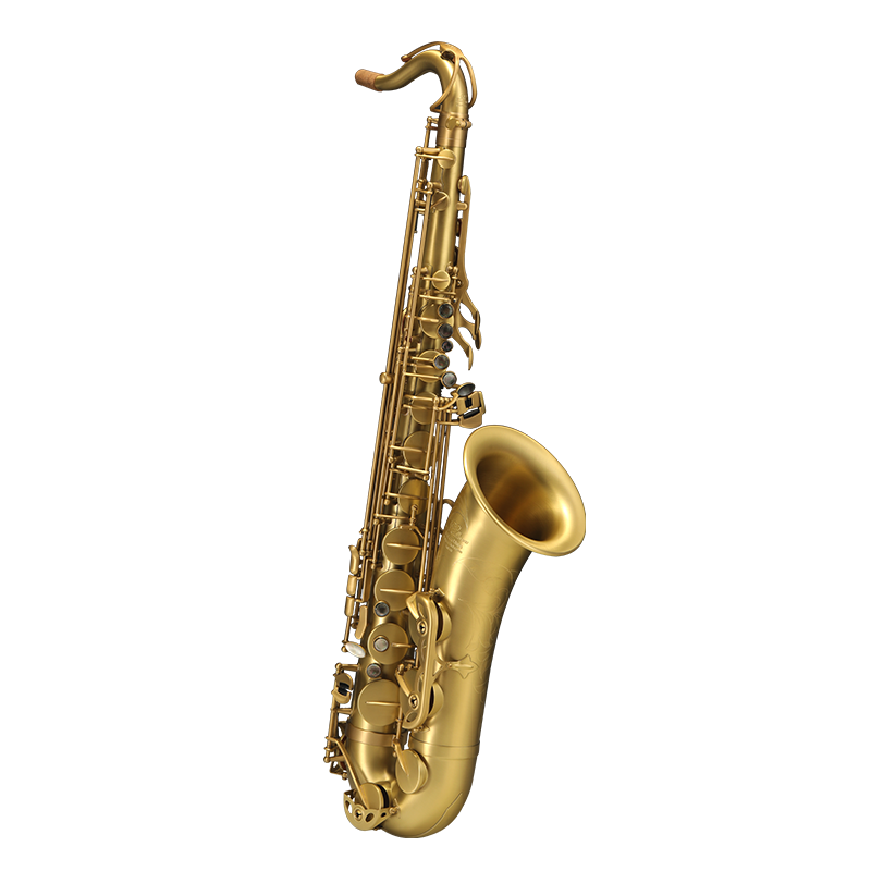 ROLLINS羅林斯薩克斯x5次中音降b調(diào)薩克斯管樂(lè)器專業(yè)演奏款磨砂仿古工藝 X5次中音-磨砂仿古