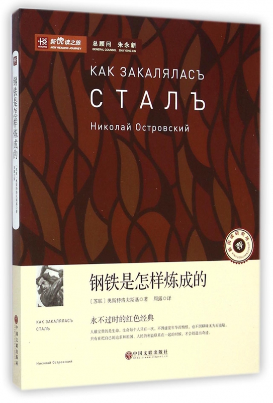 钢铁是怎样炼成的/新悦读之旅