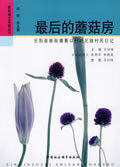 最后的蘑菇房 马翀炜 主【正版】