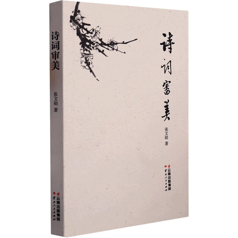 诗词审美 图书