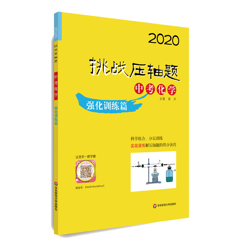 2020中考化学:强化训练篇/挑战压轴题