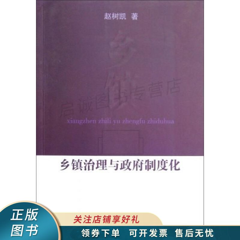 乡镇治理与政府制度化