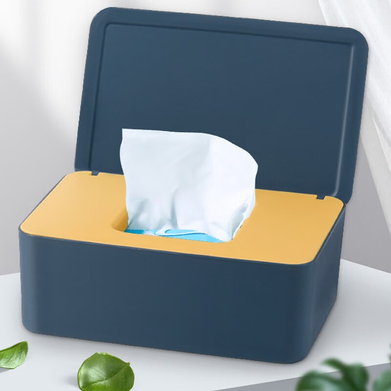 口罩收纳盒家用大容量成人学生防尘带盖桌面湿纸巾盒 蓝色黄心