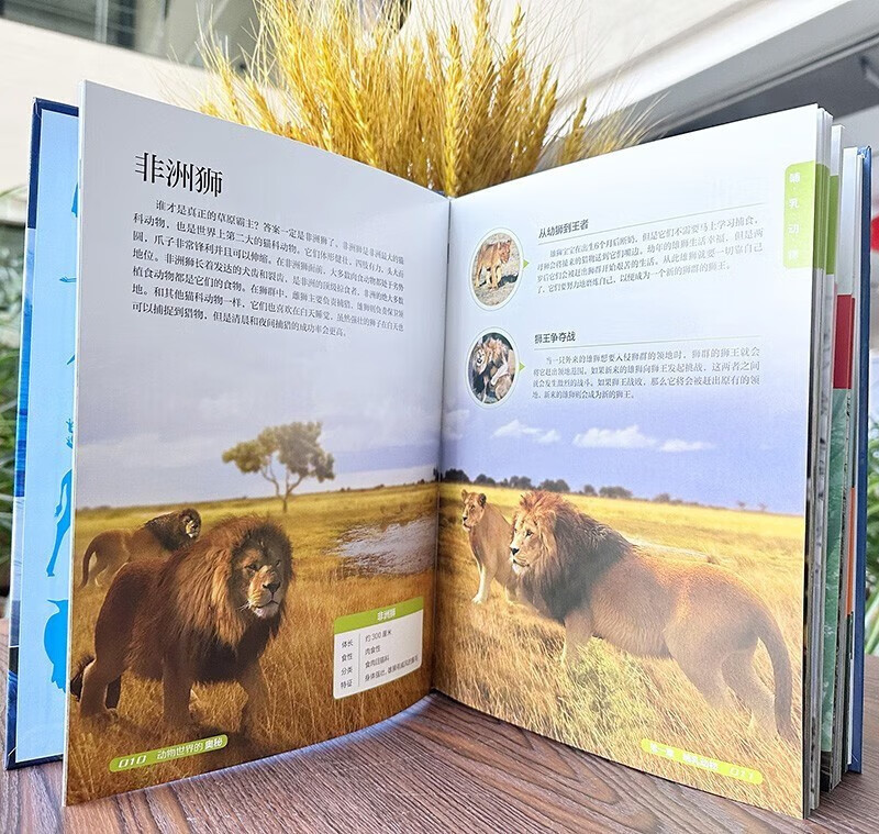 恐龙进化的奥秘+动物世界的奥秘+地球运转的奥秘（精装全套3册）儿童科普百科全书详情图