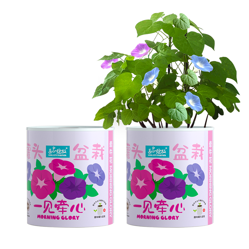 京东的科学盒子实验套装历史价格在哪看|科学盒子实验套装价格走势