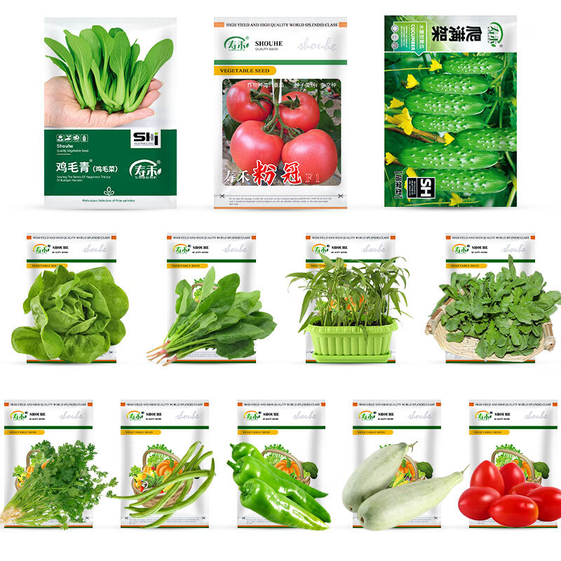 寿禾 12种蔬菜种子种植套餐大礼包四季菜籽 春季12种蔬菜种子套餐