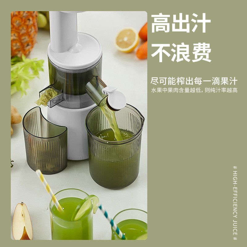 大宇(DAEWOO)原汁机家用果汁机迷你榨汁机小型便携式水果炸汁电动渣汁分离 白色