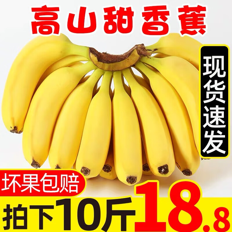 云南香蕉自然熟 带箱10斤 当季新鲜水果 整箱批发高原甜香蕉 精选香蕉 净重9斤（60%人选)