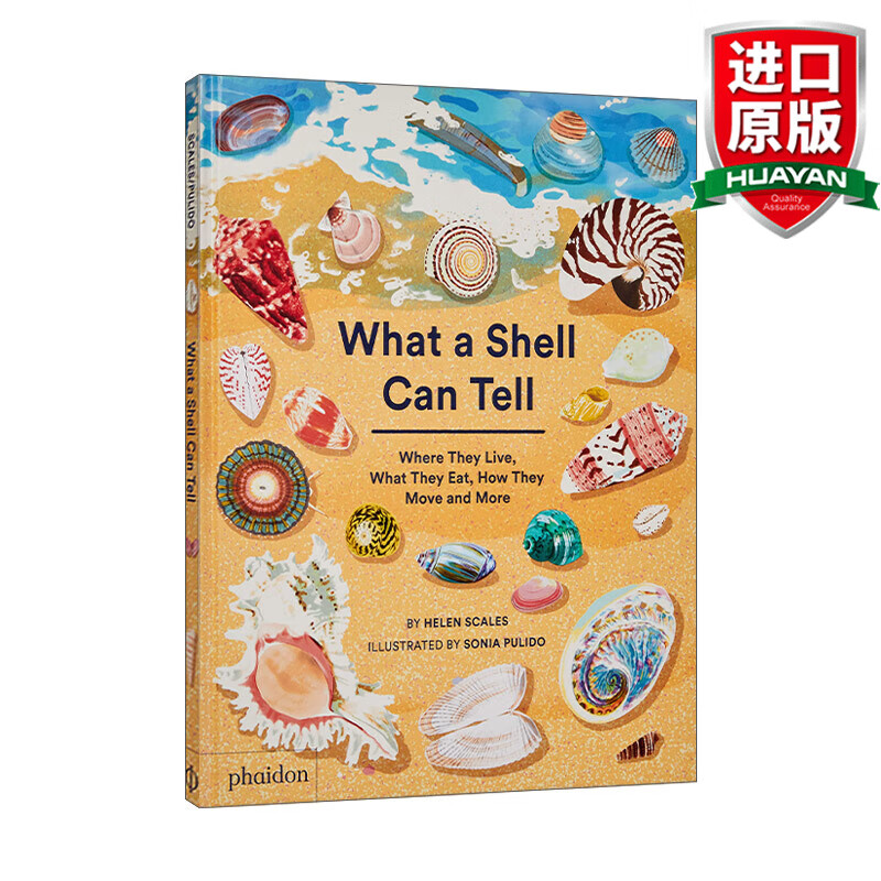 英文原版 贝壳的奥秘 壳类生物科普艺术绘本 精装 英文版 进口英语