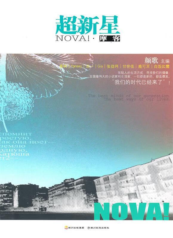 T颜歌小说--超新星