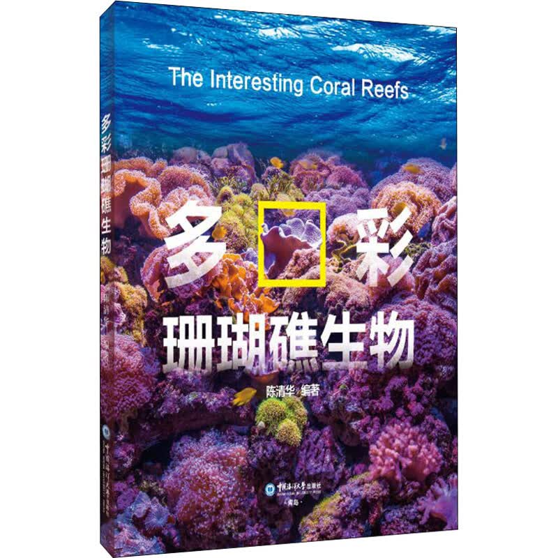 多彩珊瑚礁生物