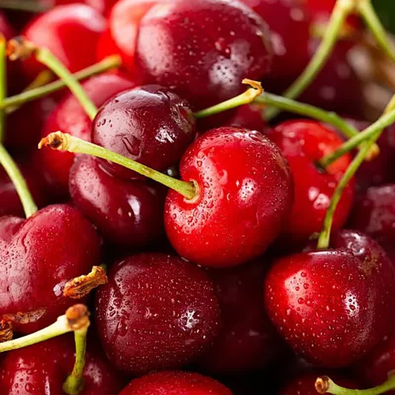 京农超【头茬预定】山东大樱桃 新鲜水果国产车厘子 时令生鲜水果端午节 4斤(净重) 精选果 单果22-26mm