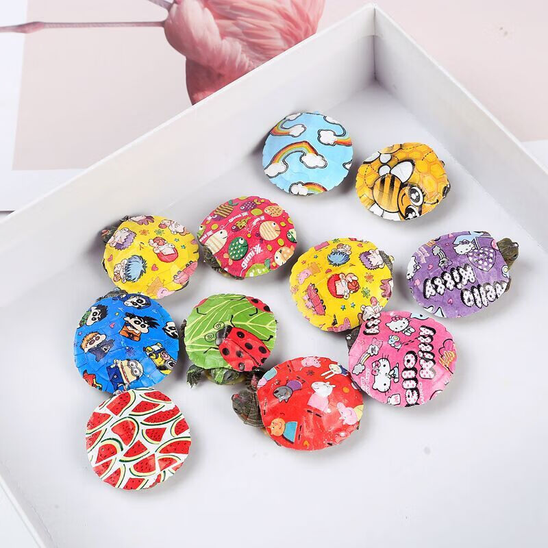 异宠活体历史价格查询小程序|异宠活体价格走势图