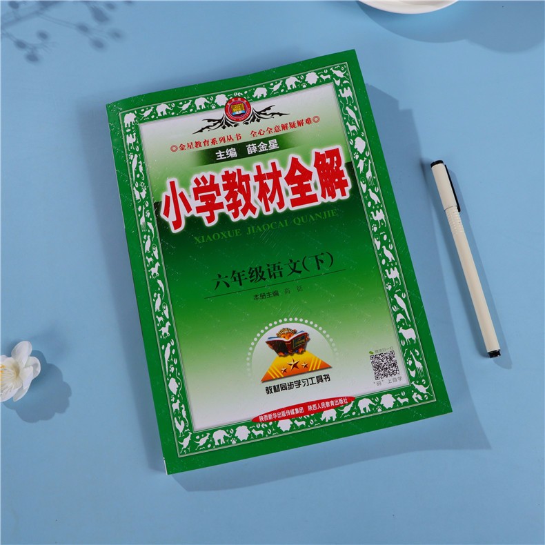 2021春 小学教材全解六年级下册语文部编人教版 六年级下册语文书教材