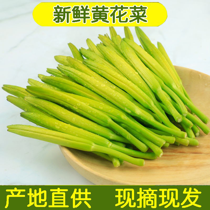 黄花菜新鲜金针菜凉拌时令蔬菜产地农家野菜 1000g