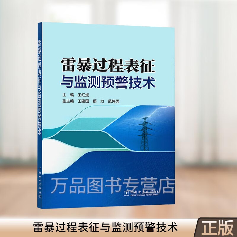 雷暴过程表征与监测预警技术 王红斌 主编·中国电力出版社 9787519870270