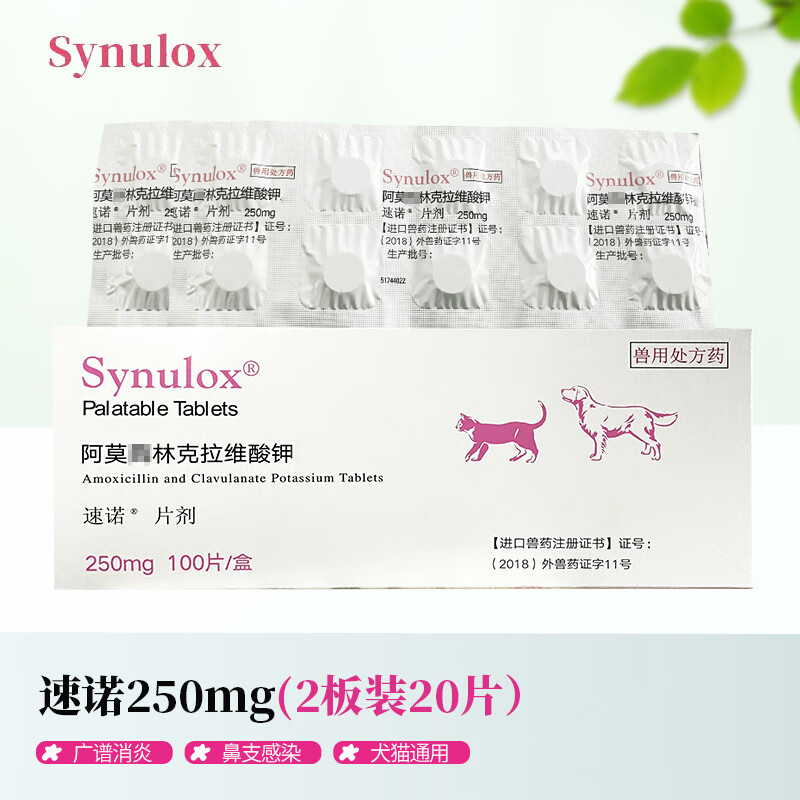 辉瑞速诺片 阿莫西林克拉维酸钾片猫咪猫鼻支消炎药宠物狗狗感冒咳嗽