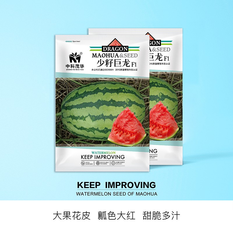 中科茂华新城五号山地石头瓜西瓜种子金城五号懒汉巨龙大果型宁夏双红