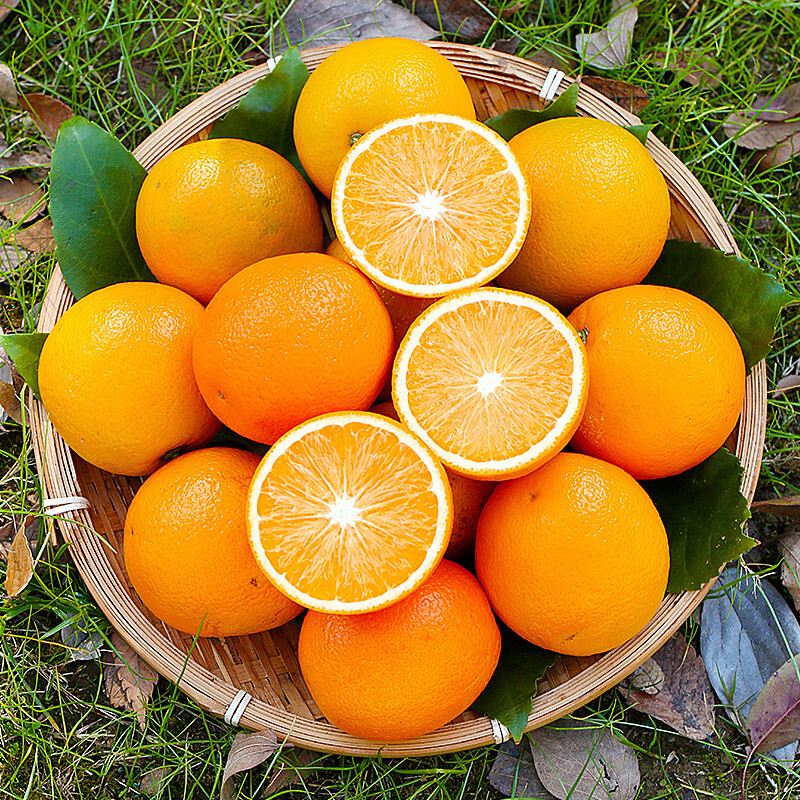 三十九度献鲜 湖北秭归夏橙9斤中果 新鲜橙子当季水果现摘孕妇甜脐橙