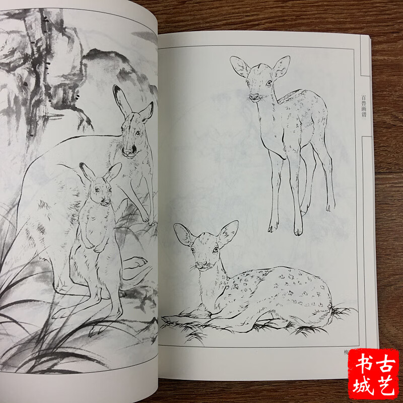 百兽画谱 中国画线描/李学志/白描猫狗 