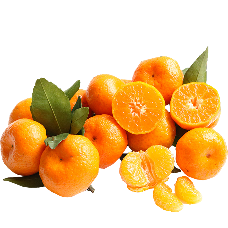 ������Դ ɳ���� ����ɰ�ǽ� ����ˮ�� 2.5kgװ 19.9Ԫ(����ȯ)