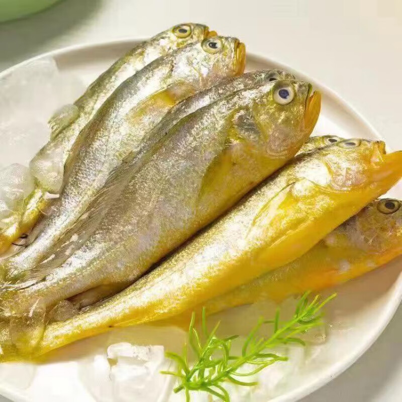 冷冻小花鱼新鲜鲜活鱼海捕花鱼海鲜水产整箱批发 6斤中大号贵一点好