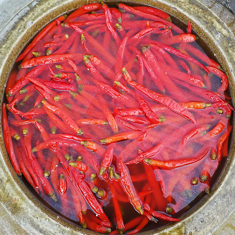 虎钢馋四川特产老坛泡辣椒500g自制农家泡菜红泡椒泡美人椒