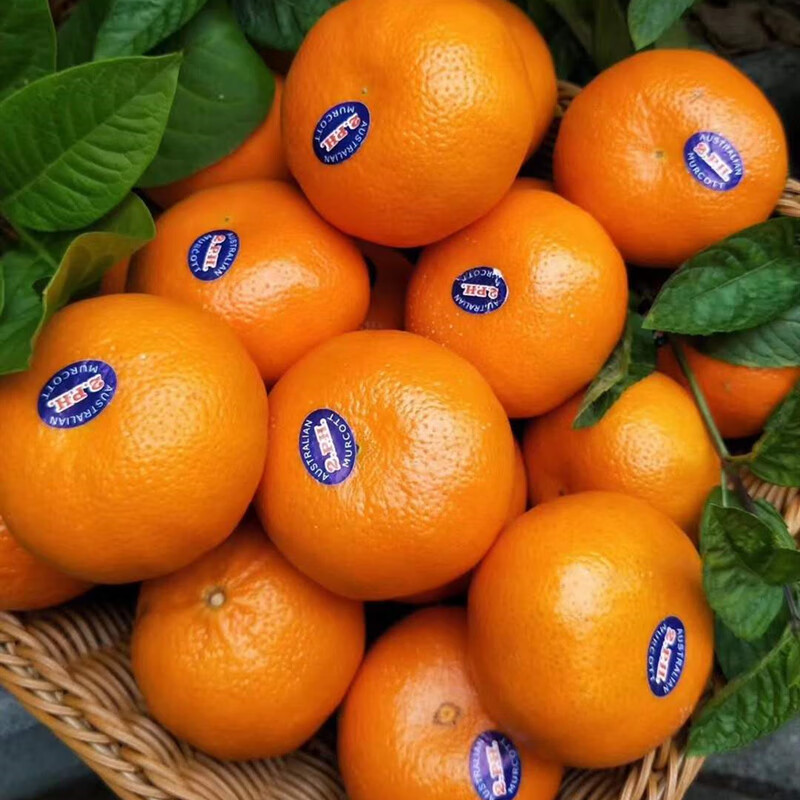 ph澳橘4斤装皮薄多汁肉甜桔子柑橘孕妇三十而已同款蜜桔 2斤 精选澳柑