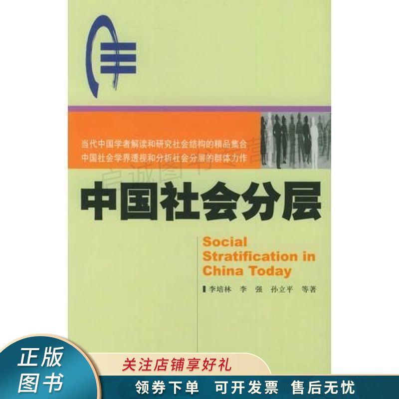 中国社会分层 李培林