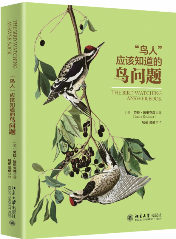 “鸟人”应该知道的鸟问题