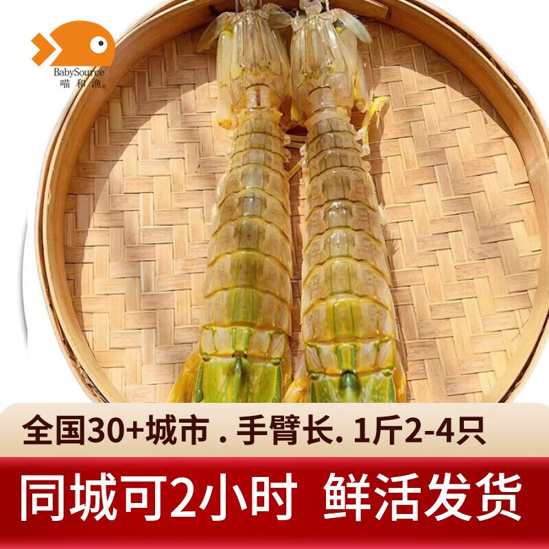 喵和渔【活鲜】鲜活泰国富贵虾 进口巨型大皮皮虾公虾大虾活虾海鲜虾类 （2-4只/1斤装）公虾 鲜活发货