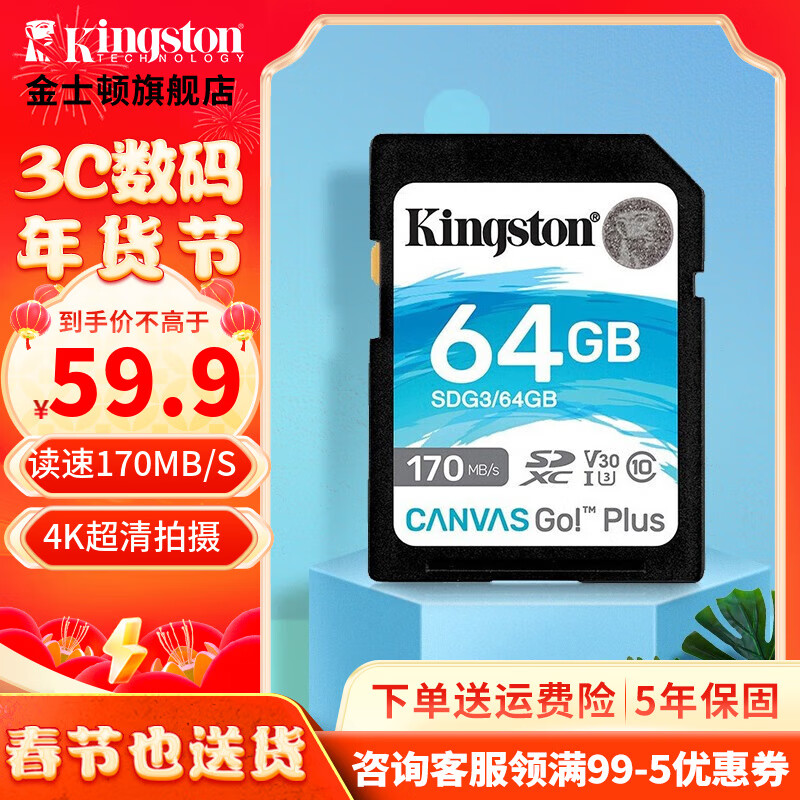 金士顿（Kingston）SD存储大卡 高速相机内存卡单反微单sd卡 class10 U3 V30 SDG3/64G【读速170M/S 丨4K超清】
