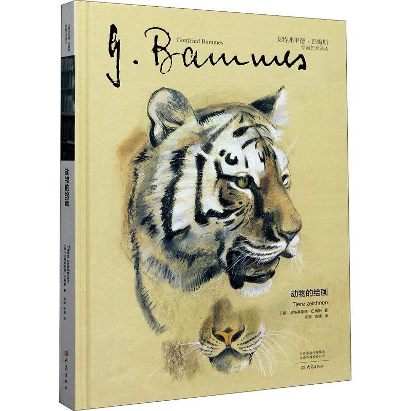动物的绘画