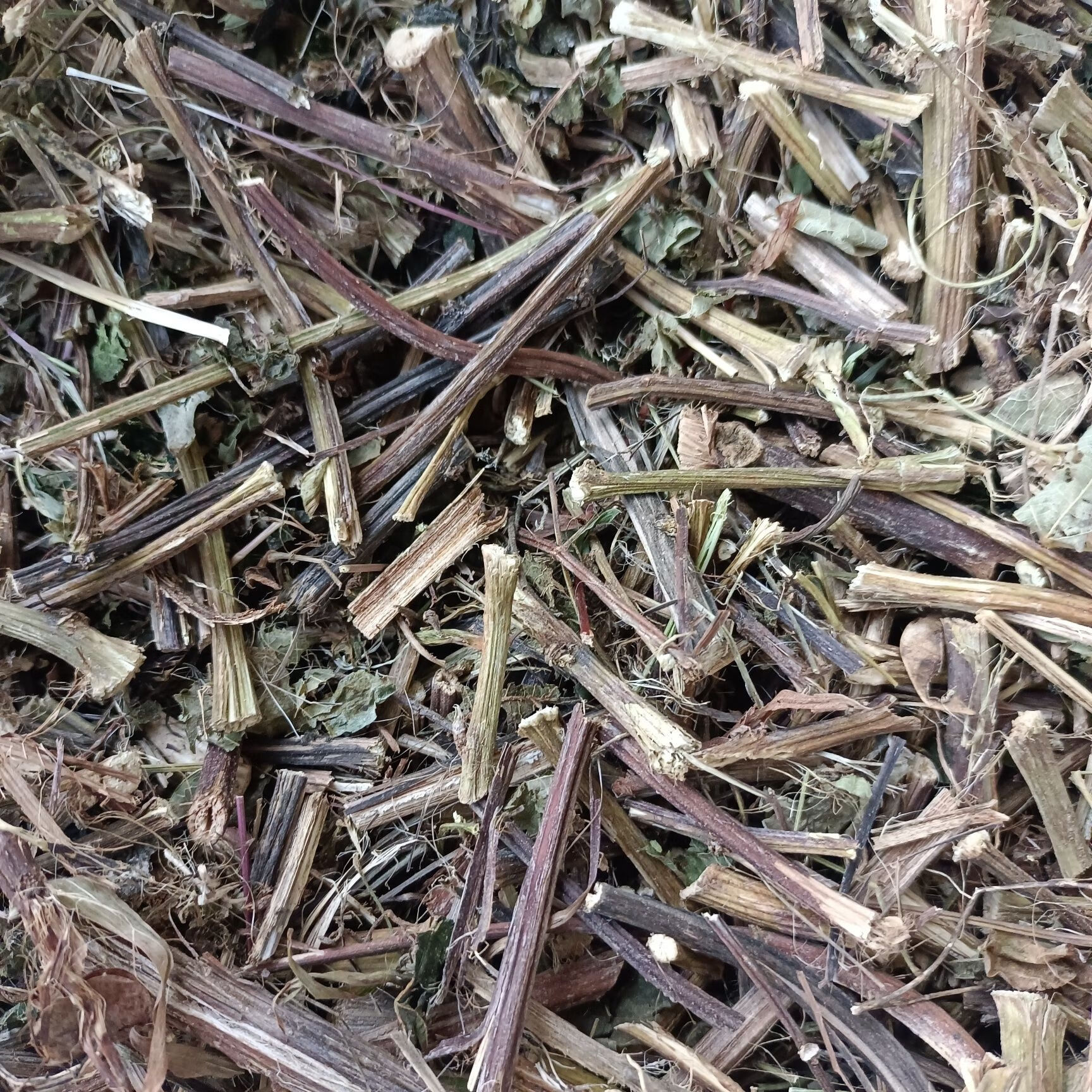 北京同仁堂正宗贵州红活麻红河马活麻草风湿手脚麻木红色小红禾麻 干