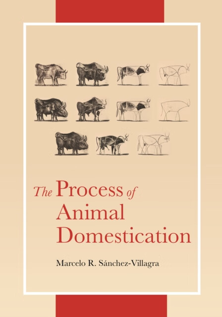 预订 the process of animal domestication