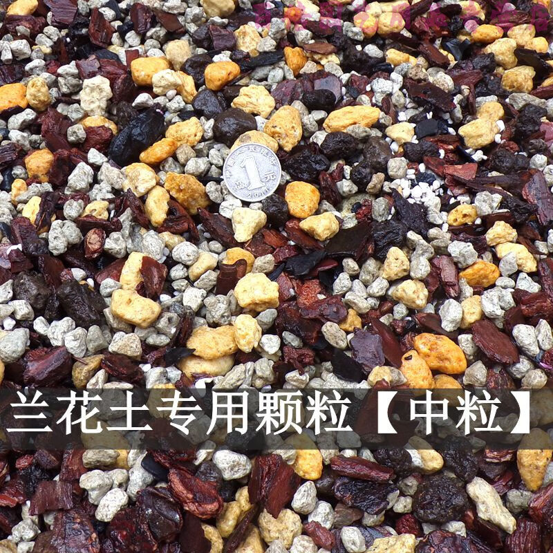 精品兰花土专用颗粒土兰花植料兰科精配透气硬基质 精配中颗粒5.