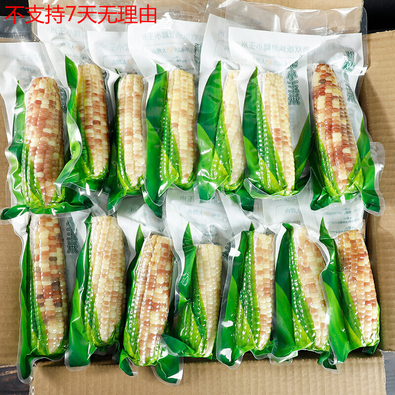 巢浩4斤云南西双版纳香糯小玉米甜糯小包谷新鲜熟玉米棒苞米真空包装