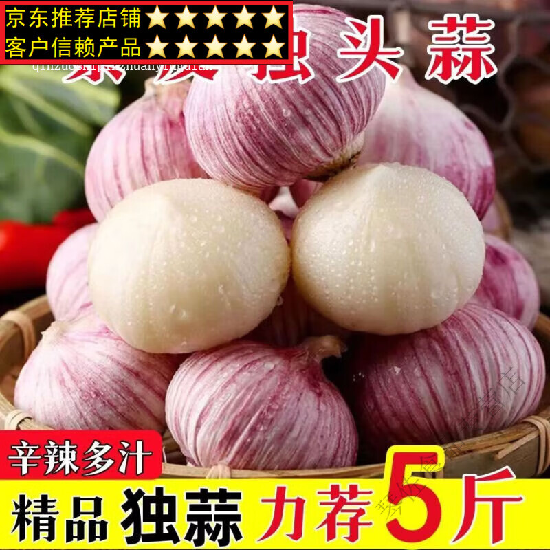 富润世精选紫皮独头蒜干大蒜新鲜辛辣香 新蒜当季整箱农家自种整箱 1