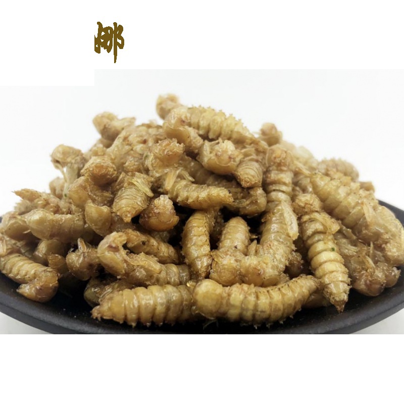虎钢馋美味昆虫大麦虫蛹高蛋白食用昆虫女生零食金粉虫蛹油炸大麦虫幼
