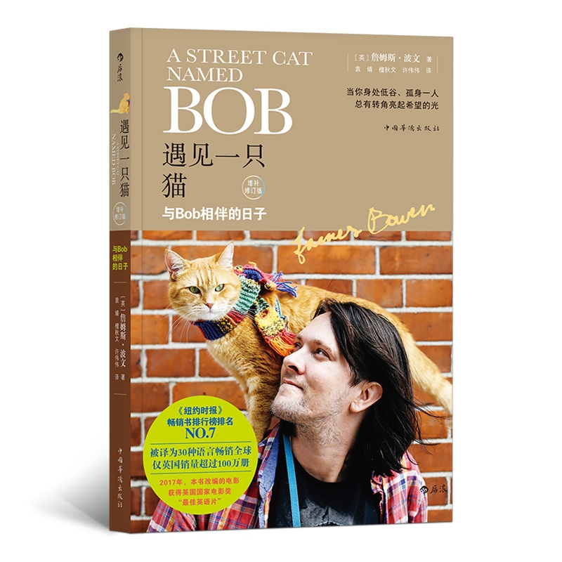 遇见一只猫 A Street Cat Named Bob 一只名叫鲍勃的流浪猫中文版流浪猫鲍勃书当bob来敲门流浪猫鲍勃电影小说HL