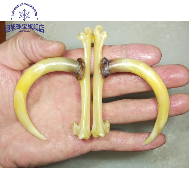 迪旭文玩鸡蹬子鸡爪骨把件老公鸡爪骨抓钱手新宠天l然老公鸡爪子 黄金