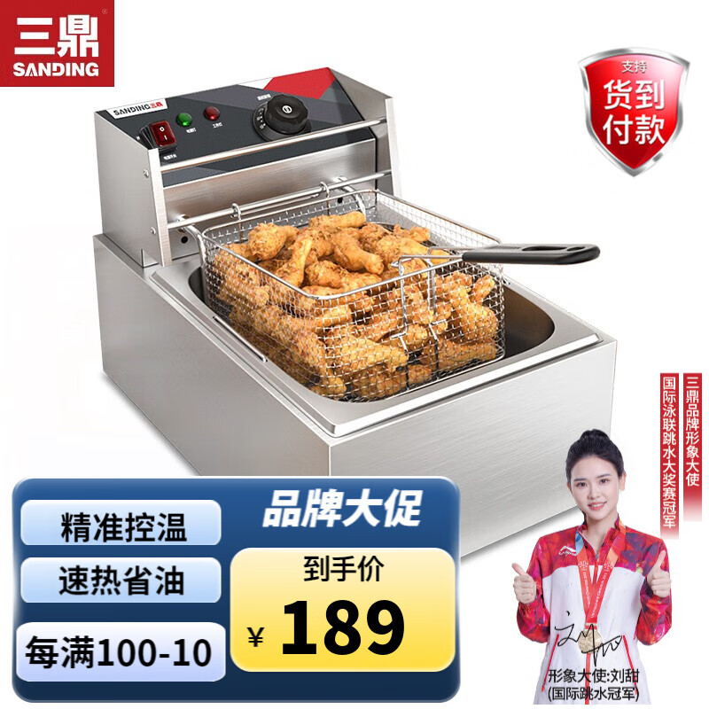 三鼎 电炸炉商用油炸锅油炸机油条机电炸锅油炸炉炸串机炸鸡薯条机小吃设备 单缸单筛 电炸炉(10.8L)