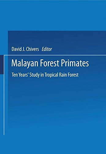 Malayan Forest Primates